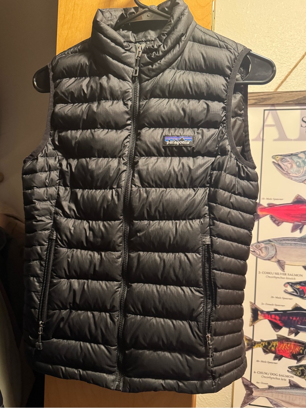 Patagonia Down Sweater Vest